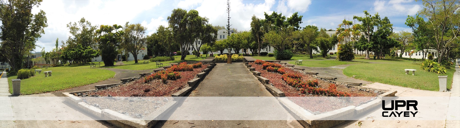 Misión, Visión y Objetivos – Universidad de Puerto Rico Cayey