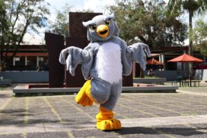 Mascota de la UPR Humacao, el buho, bailando.