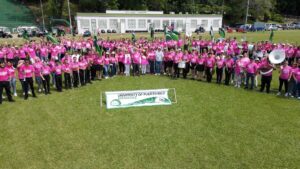 Foto a plano amplio de la marcha rosa 2023