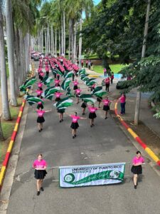 Marcha Rosa en la calle, batuteras ondeando banderas.