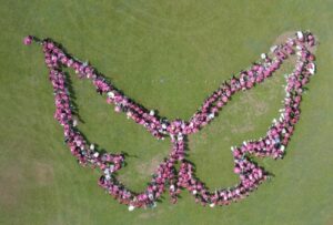 Foto aerea de la Marcha Rosada formando una mariposa.