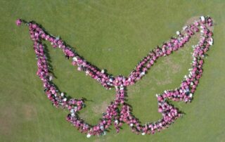 Recinto Universitario de Mayagüez solidario en Octubre Mes de Prevención de Cáncer de Seno con Marcha Rosada y actividades educativas