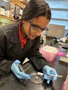 Alondra Rodriguez trabaja con una de sus membranas en el Laboratorio de Materiales Polimericos y Multifuncionales para Aplicaciones Medioambientales y Biomedicas en el Centro Molecular UPR