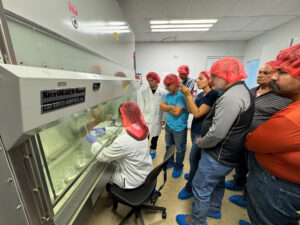 entrenamiento de agricultores en las técnicas utilizadas para la producción de la semilla