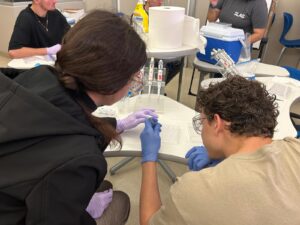 Acercamiento de la profesora orientando a uno de los estudiantes en el laboratorio.